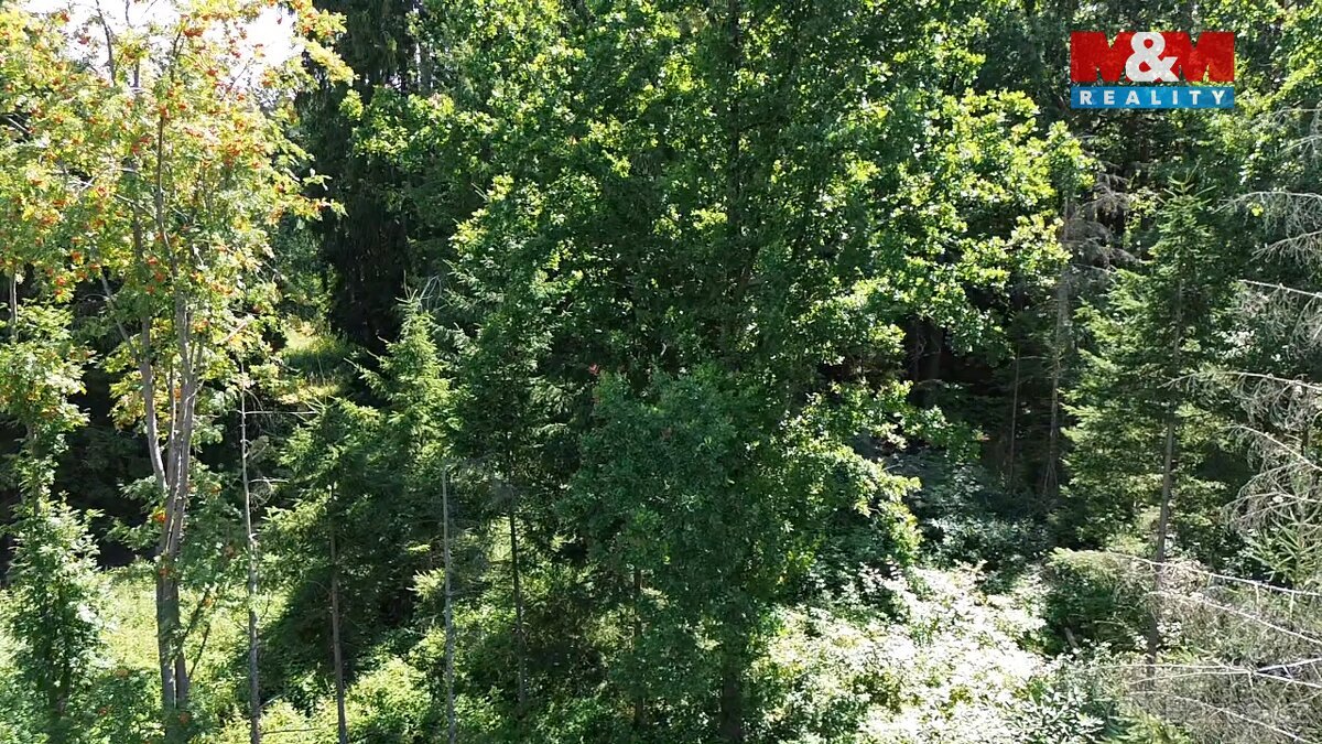 Prodej lesa, 5323 m², Opařany