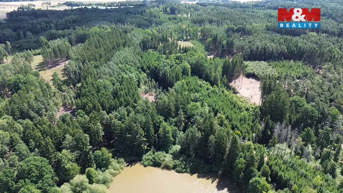 Prodej lesa, 5323 m², Opařany