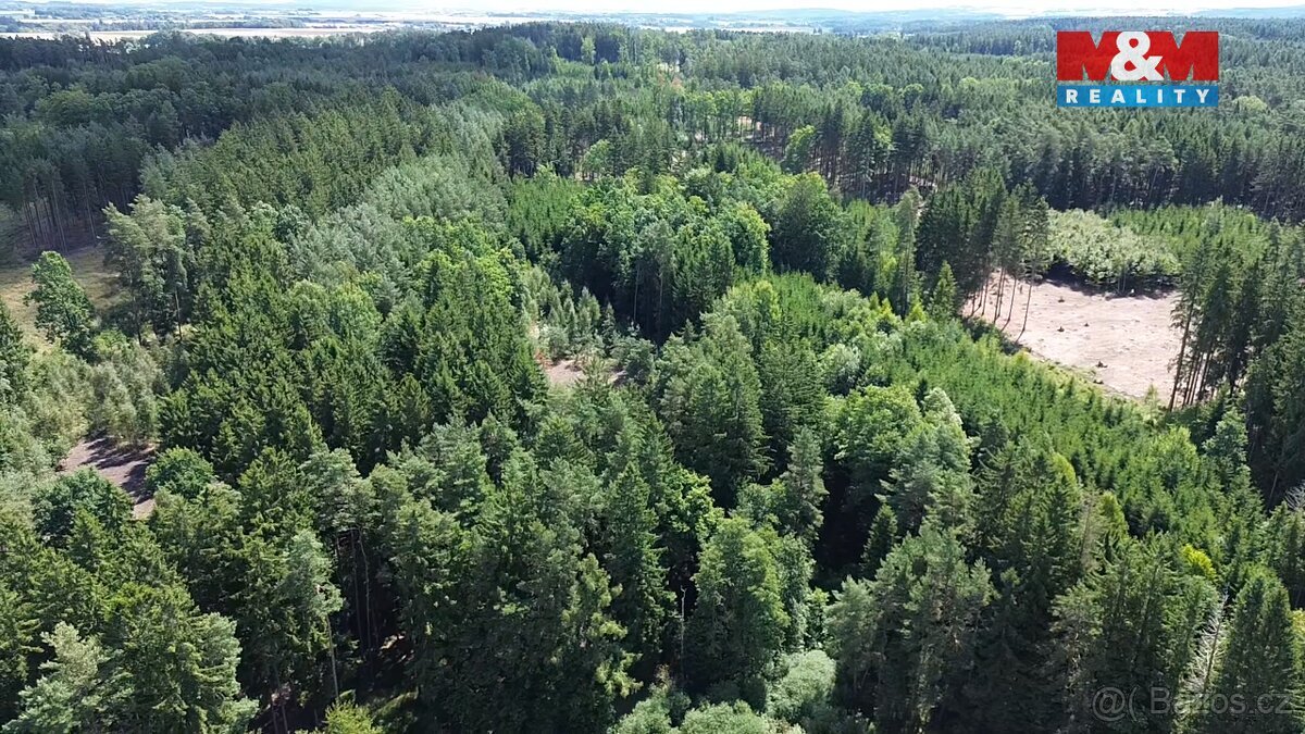 Prodej lesa, 5323 m², Opařany