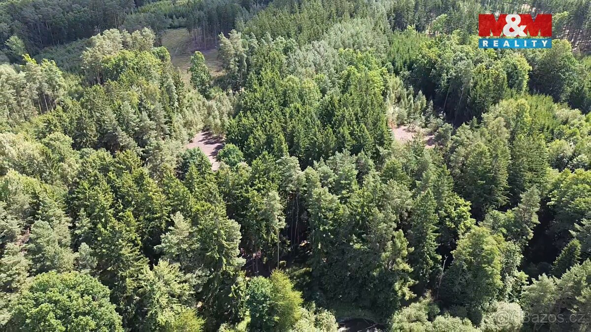 Prodej lesa, 5323 m², Opařany