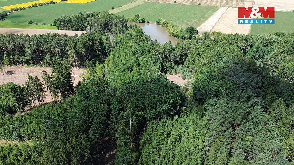 Prodej lesa, 5323 m², Opařany