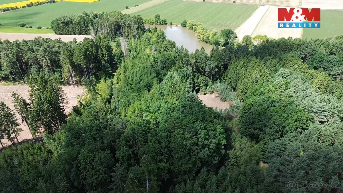 Prodej lesa, 5323 m², Opařany