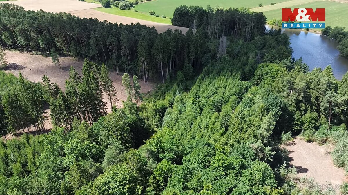 Prodej lesa, 5323 m², Opařany