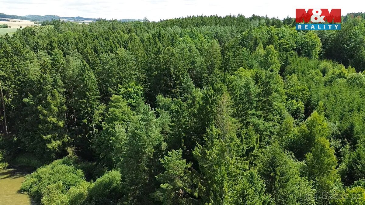 Prodej lesa, 5323 m², Opařany