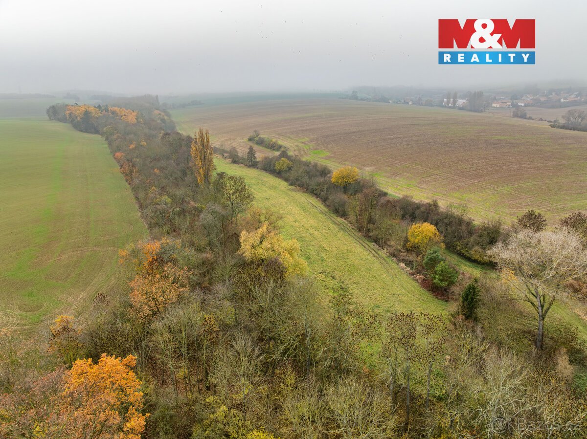 Prodej pole, 8999 m², Klobuky