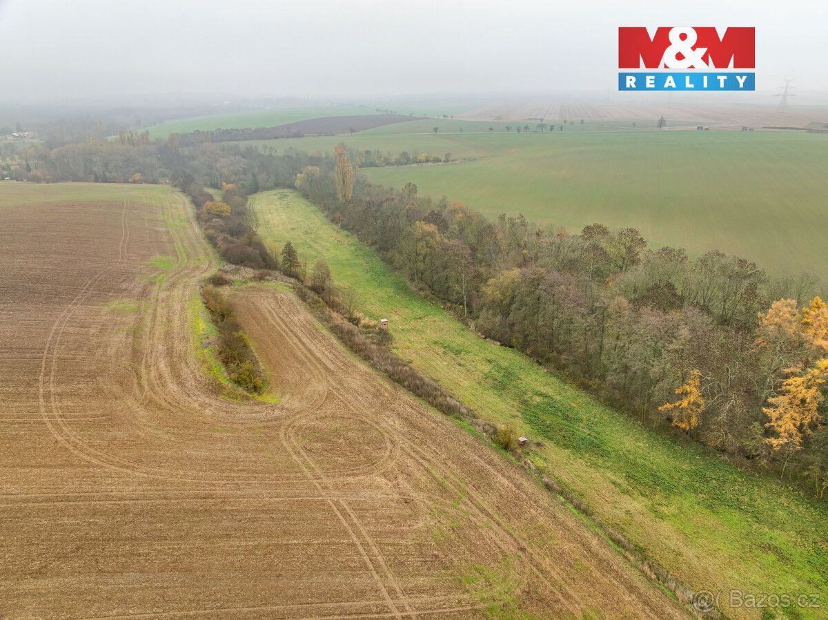 Prodej pole, 8999 m², Klobuky