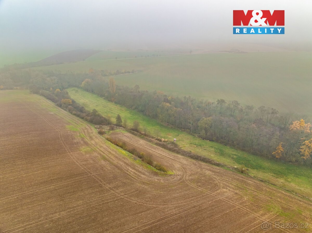 Prodej pole, 8999 m², Klobuky