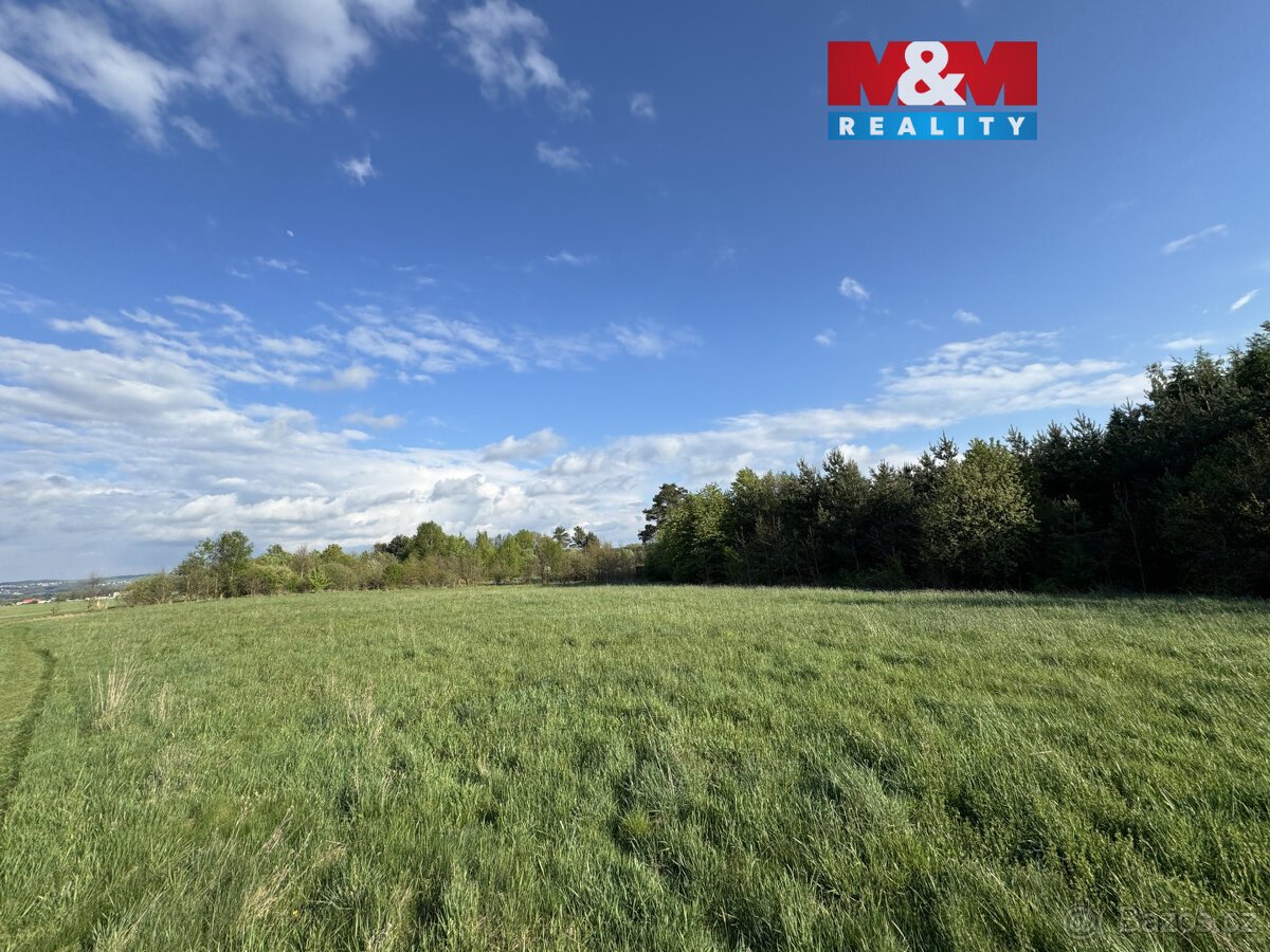 Prodej komerčního pozemku, 10254 m², Homole