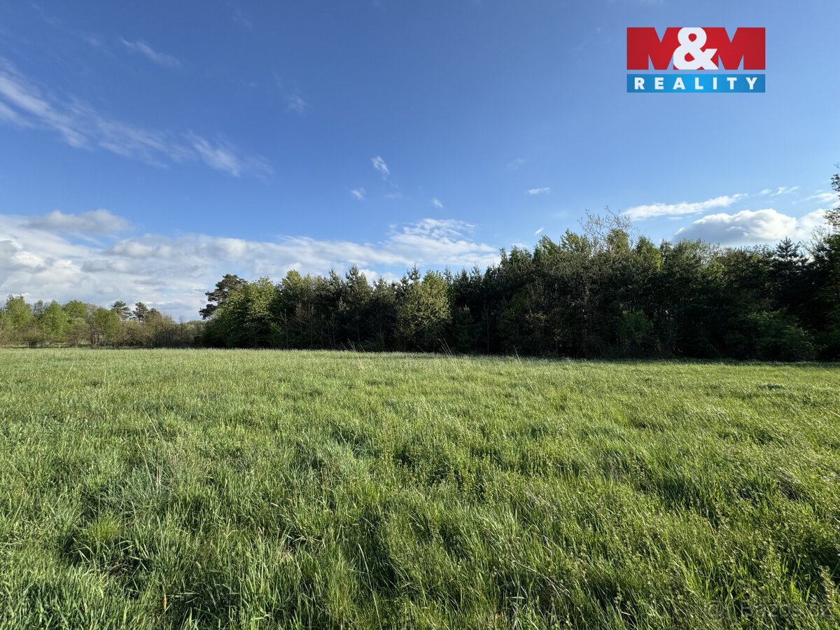 Prodej komerčního pozemku, 10254 m², Homole