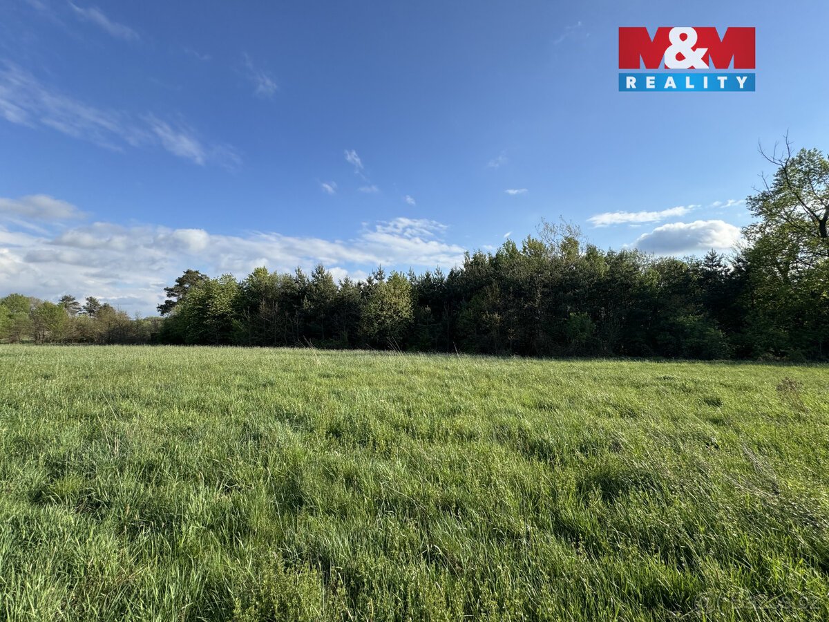 Prodej komerčního pozemku, 10254 m², Homole