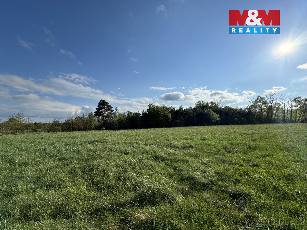 Prodej komerčního pozemku, 10254 m², Homole