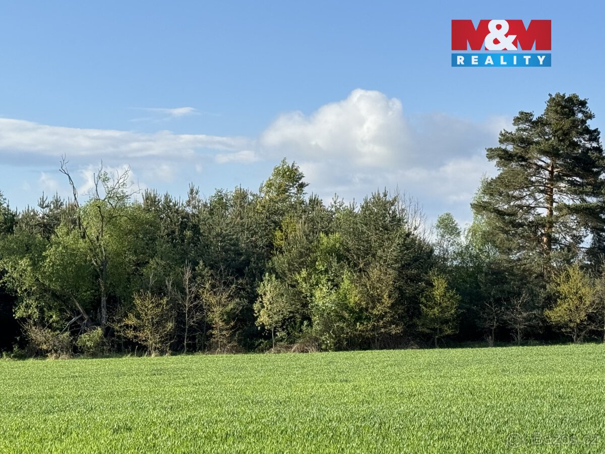 Prodej komerčního pozemku, 10254 m², Homole