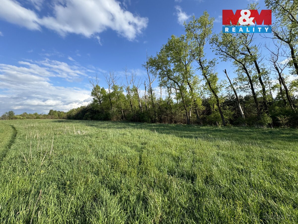 Prodej komerčního pozemku, 10254 m², Homole