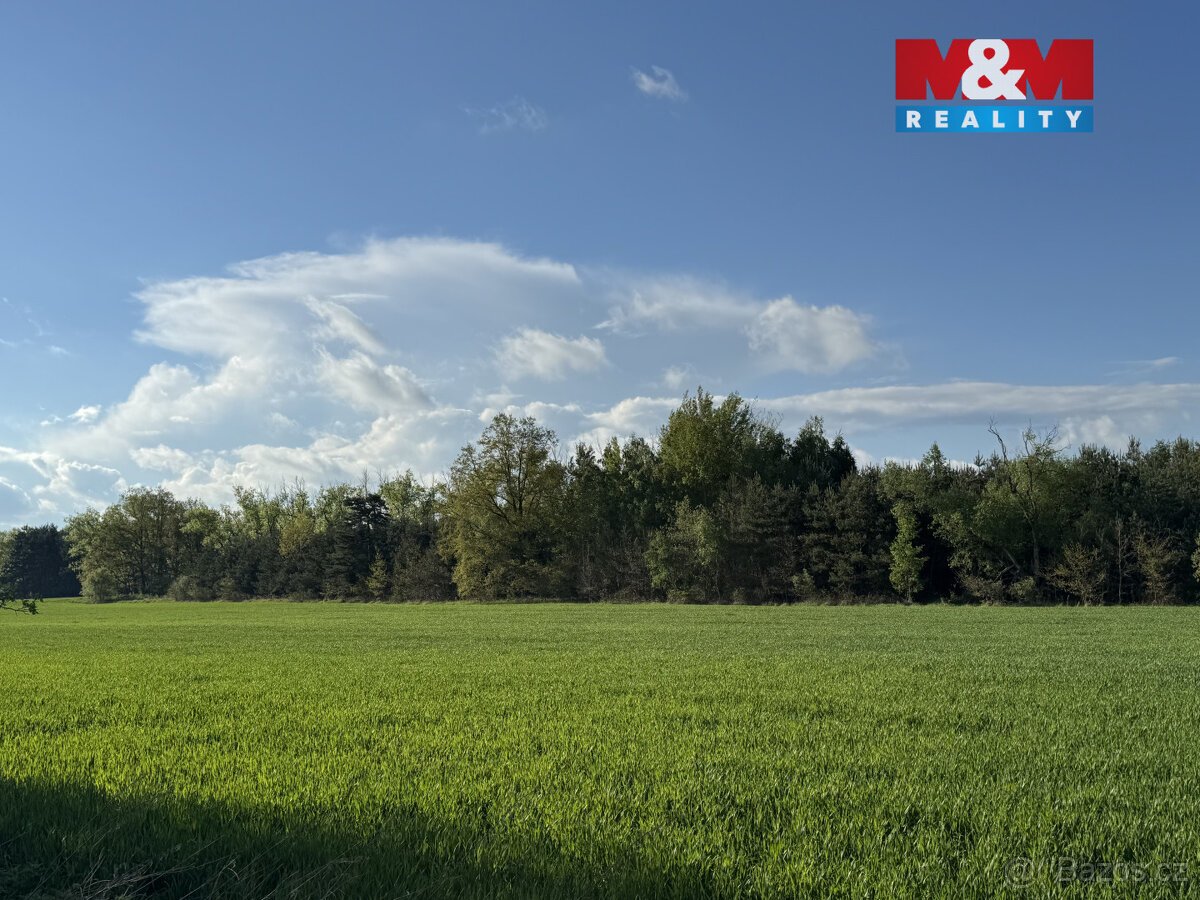 Prodej komerčního pozemku, 10254 m², Homole