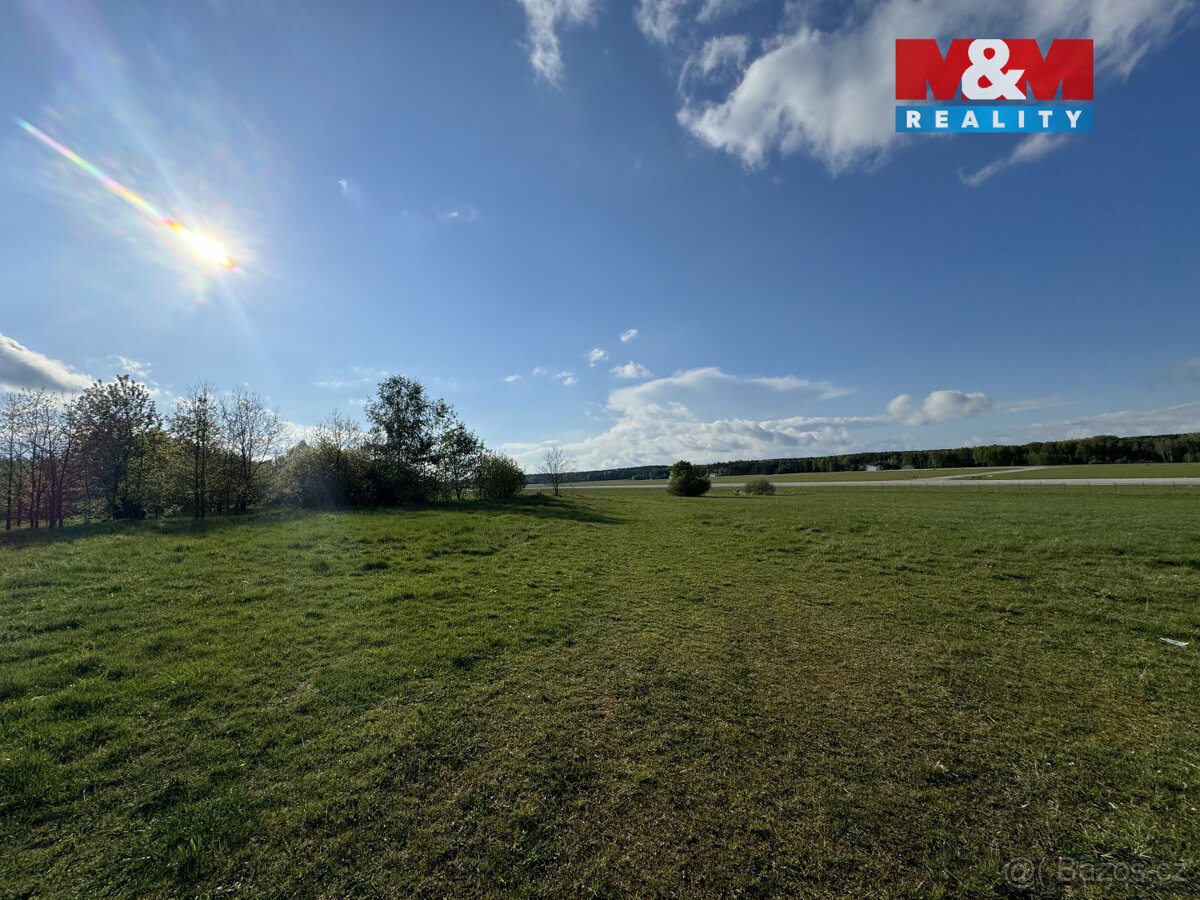 Prodej komerčního pozemku, 10254 m², Homole