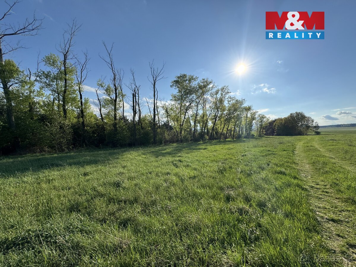 Prodej komerčního pozemku, 10254 m², Homole