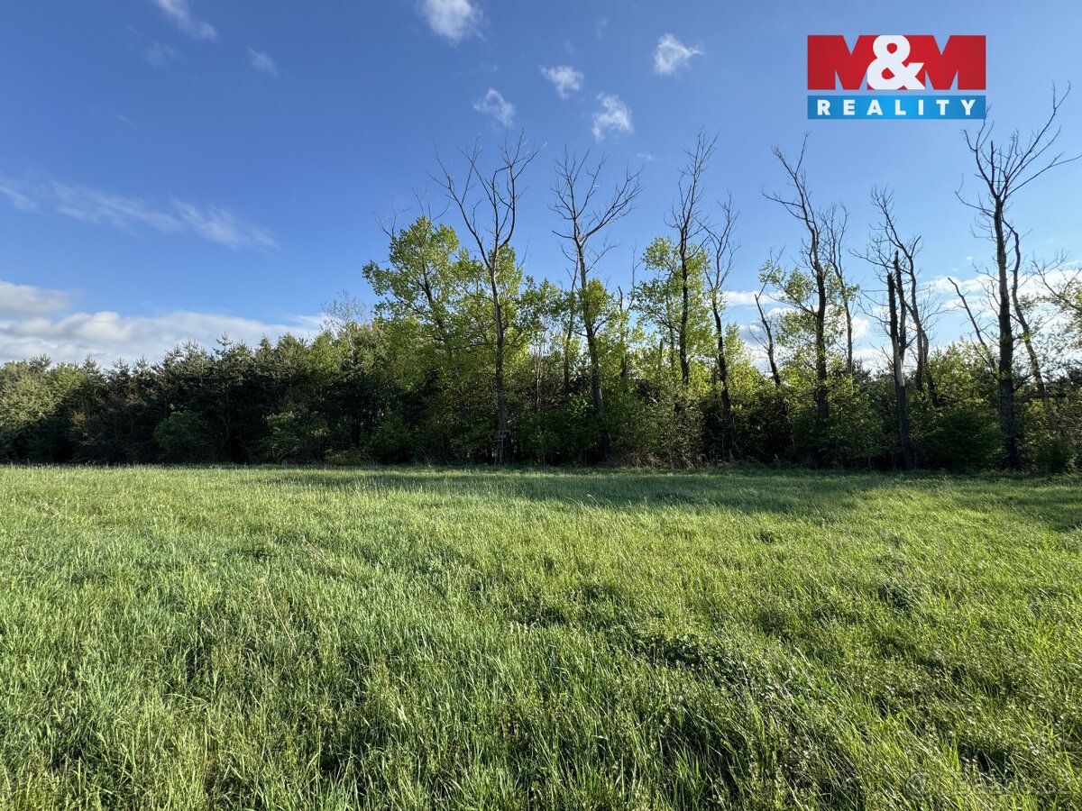 Prodej komerčního pozemku, 10254 m², Homole