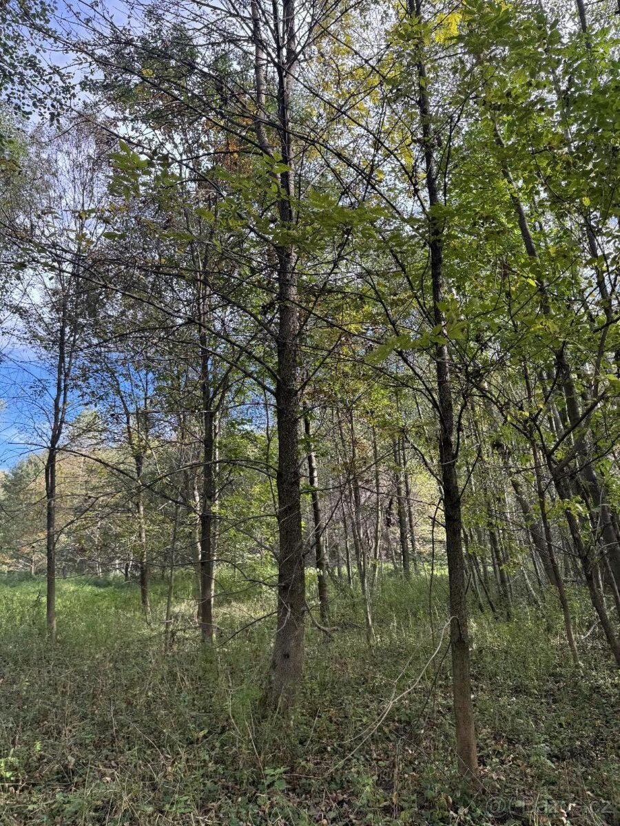 Prodám pozemky v k.ú. Záblatí u Bohumína (2)