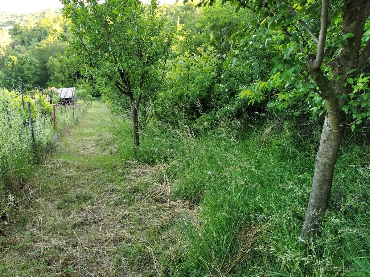 Prodám zahradu 2216 m2, možnost stavby, Kudlovice-dolina