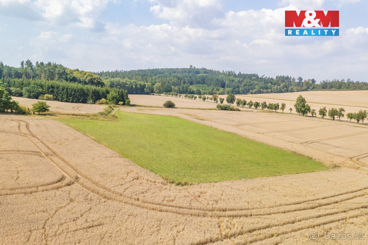 Prodej louky, 8007 m², Šťáhlavy