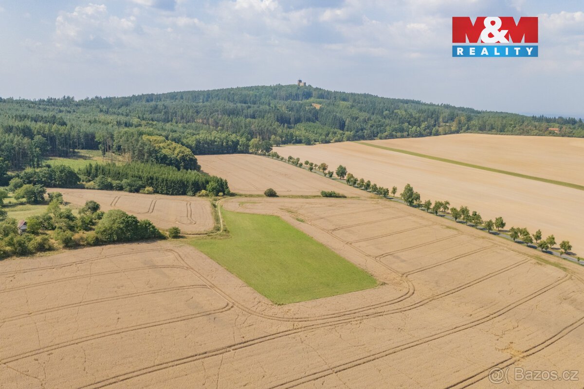 Prodej louky, 8007 m², Šťáhlavy