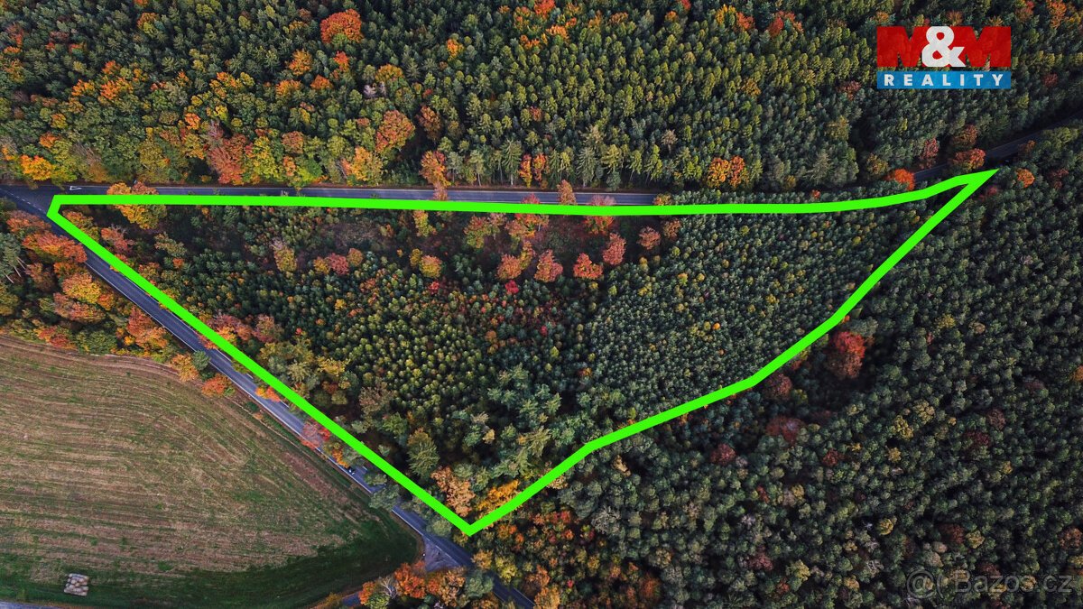 Prodej lesa v Luži, Luže