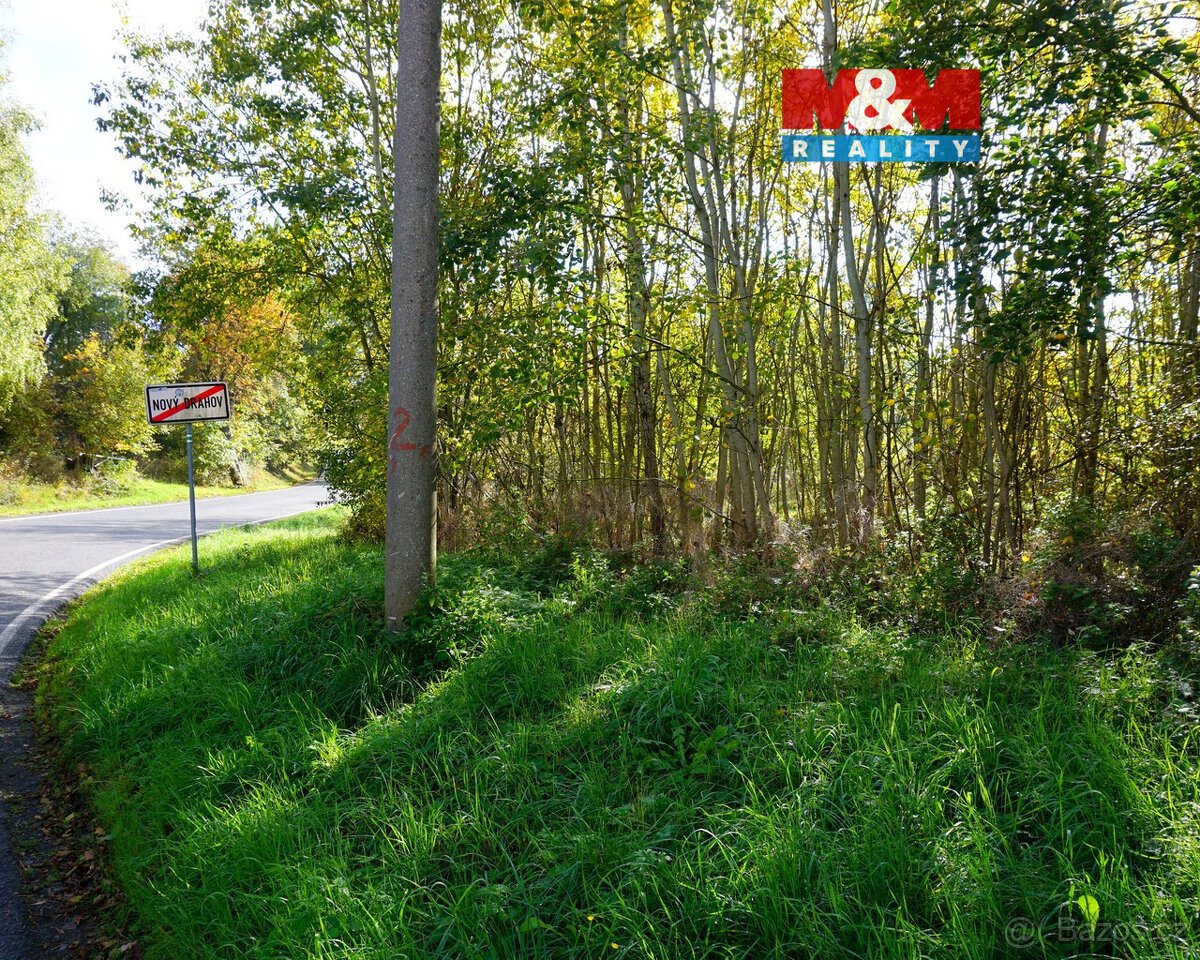 Prodej pozemku k bydlení, 3689 m², Třebeň