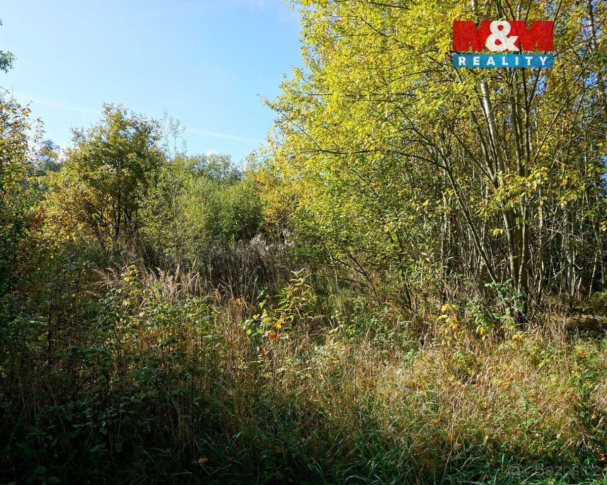 Prodej pozemku k bydlení, 3689 m², Třebeň