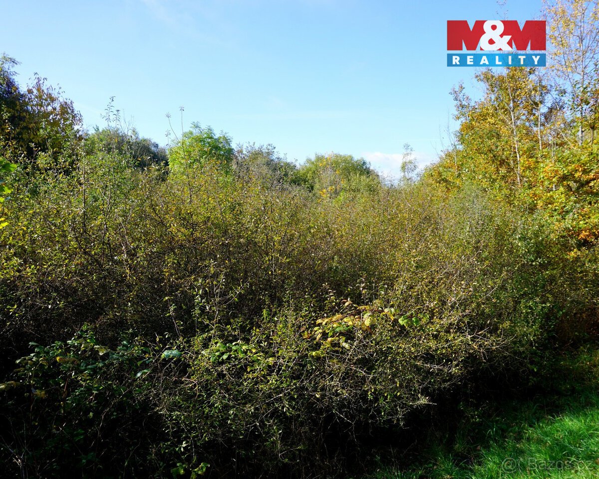 Prodej pozemku k bydlení, 3689 m², Třebeň