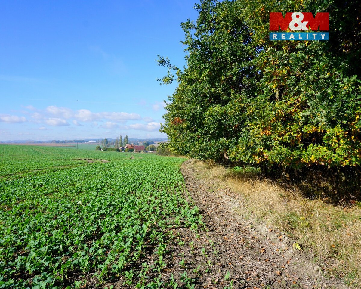 Prodej pozemku k bydlení, 3689 m², Třebeň