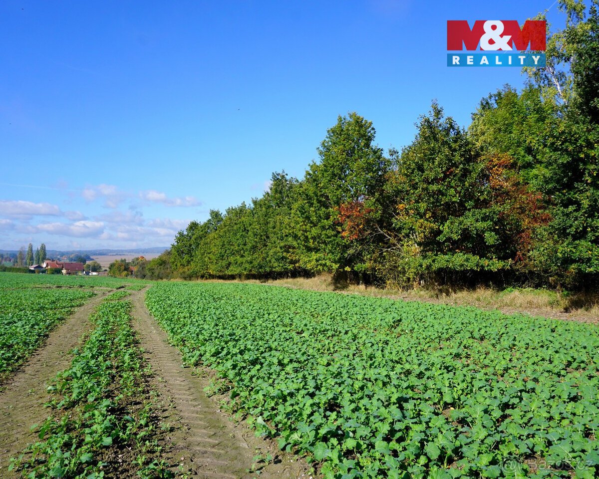 Prodej pozemku k bydlení, 3689 m², Třebeň