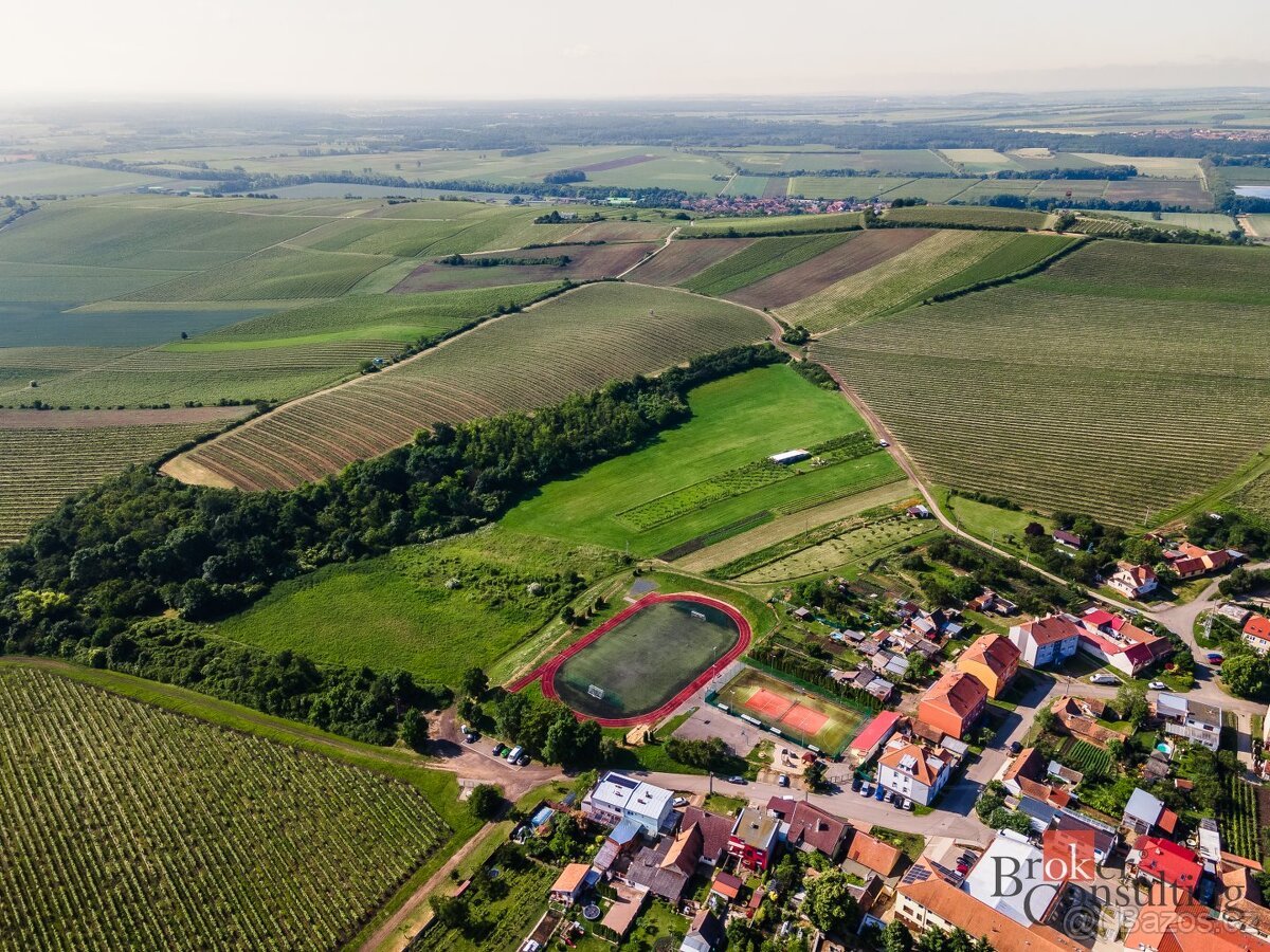 Prodej, pozemky/vinice/sady, 256256 m2, Zaječí, Břeclav [ID 