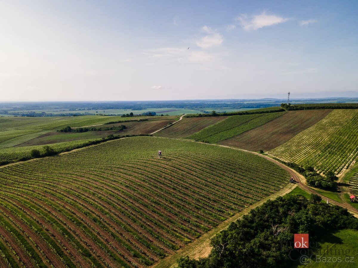 Prodej, pozemky/vinice/sady, 256256 m2, Zaječí, Břeclav [ID 