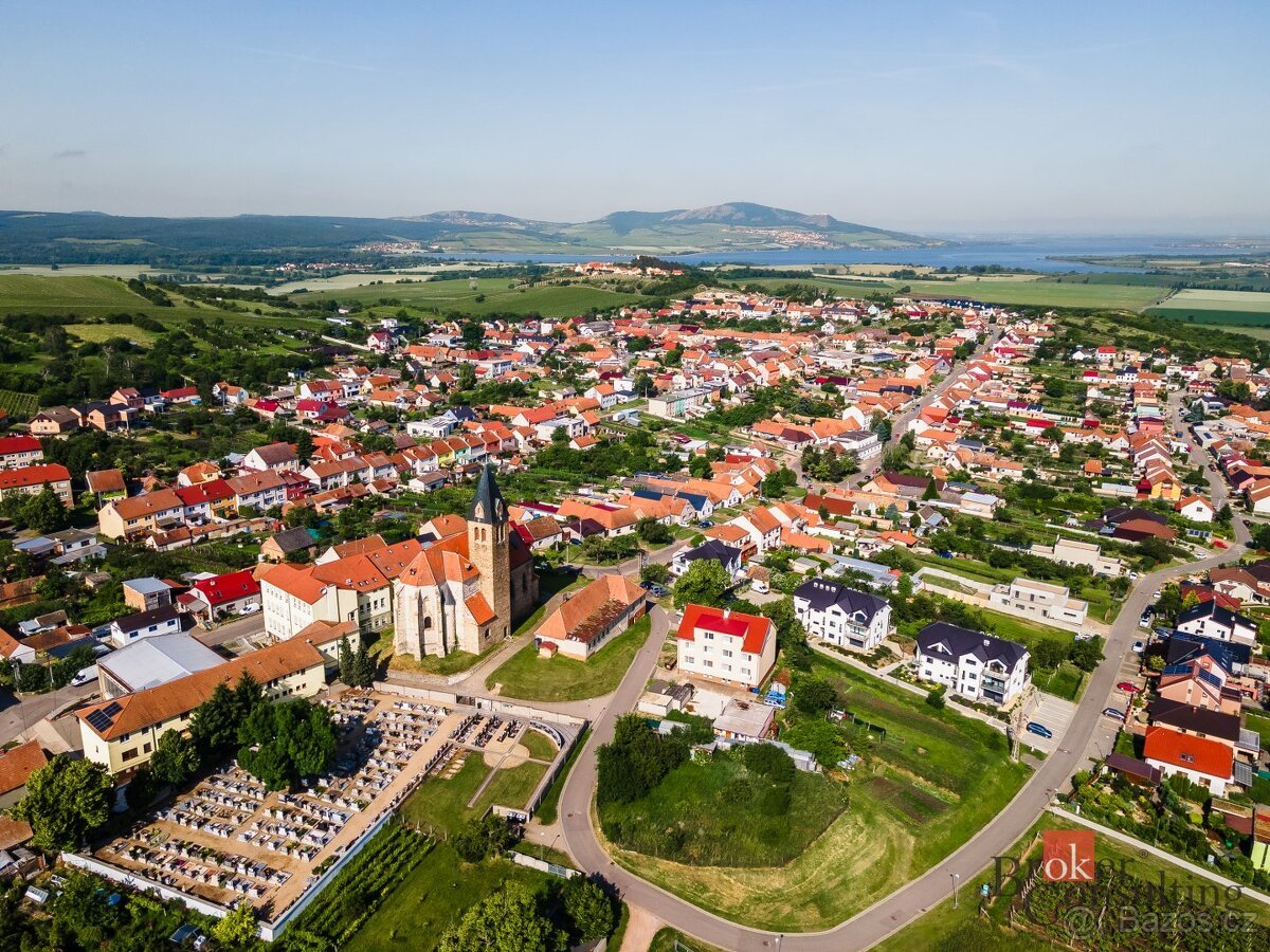 Prodej, pozemky/vinice/sady, 256256 m2, Zaječí, Břeclav [ID 
