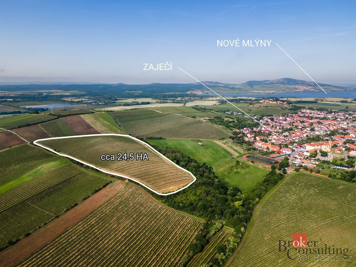 Prodej, pozemky/vinice/sady, 256256 m2, Zaječí, Břeclav [ID 