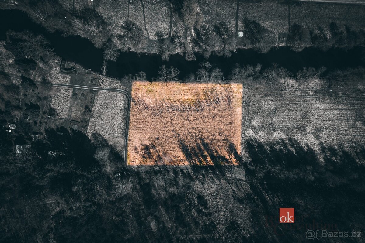 Prodej, pozemky/les, 4109 m2, Plešnice, Plzeň-sever [ID 7065