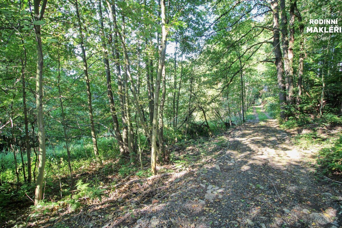 Jestřabí v Krkonoších