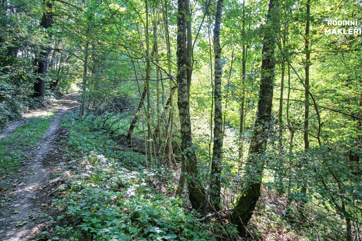 Jestřabí v Krkonoších