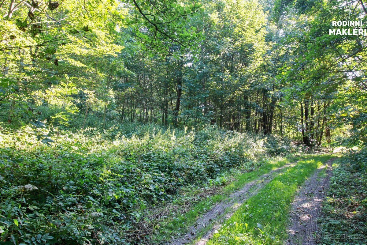 Jestřabí v Krkonoších