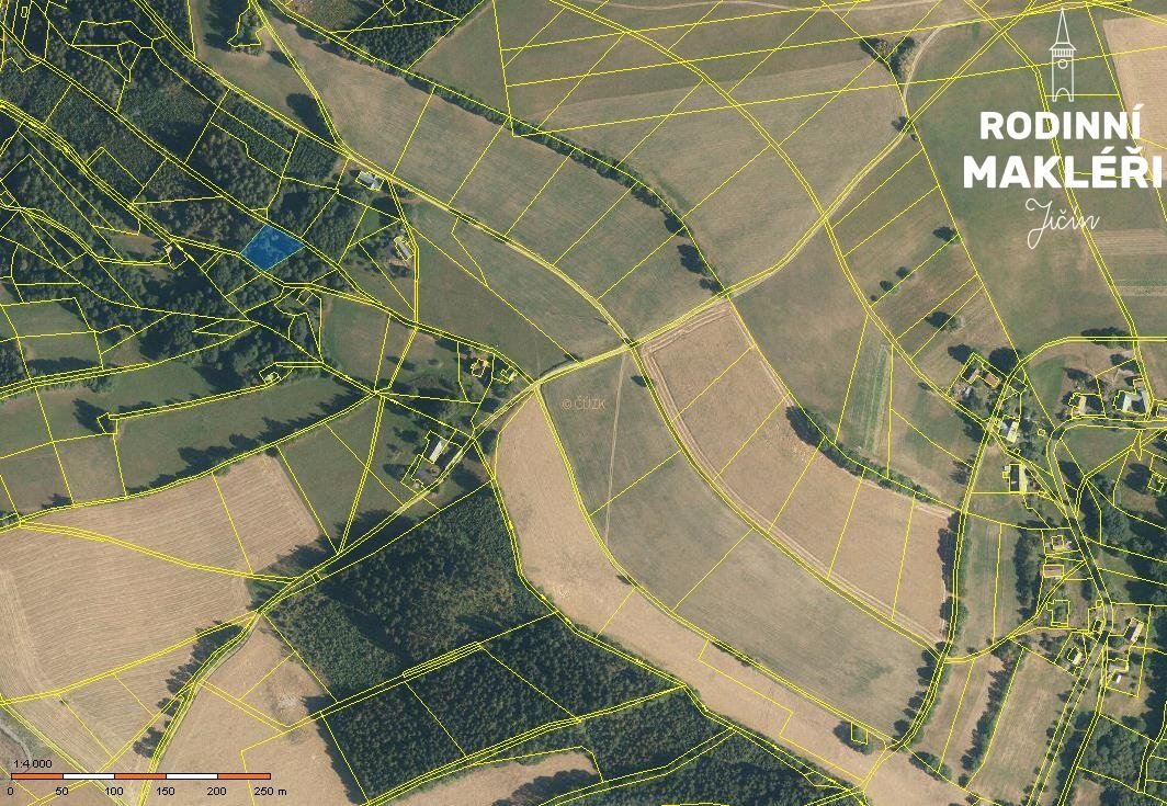 Jestřabí v Krkonoších