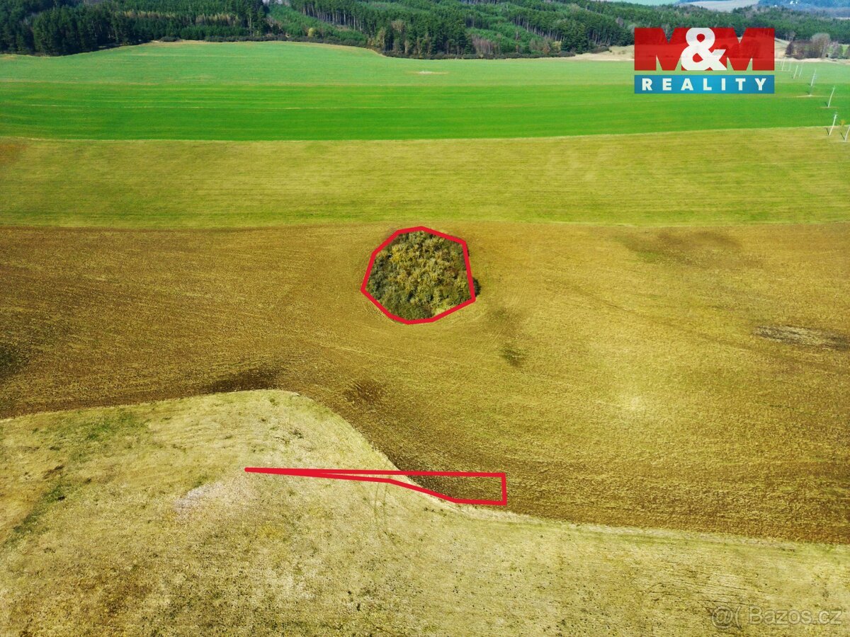 Prodej pole, 19794 m², Láz u Kladrub