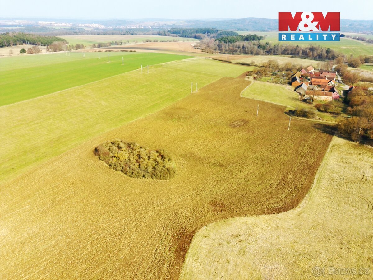 Prodej pole, 19794 m², Láz u Kladrub