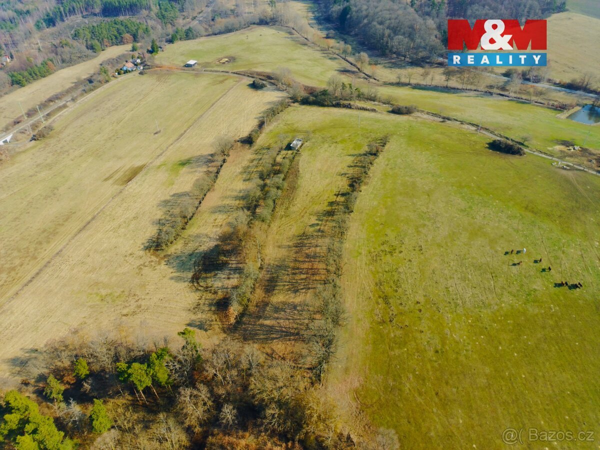 Prodej pole, 15633 m², Vrbice u Stříbra