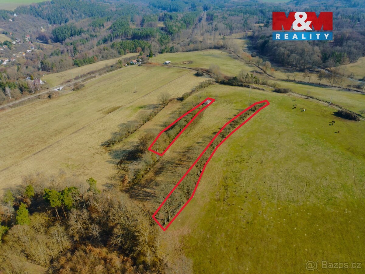 Prodej pole, 15633 m², Vrbice u Stříbra