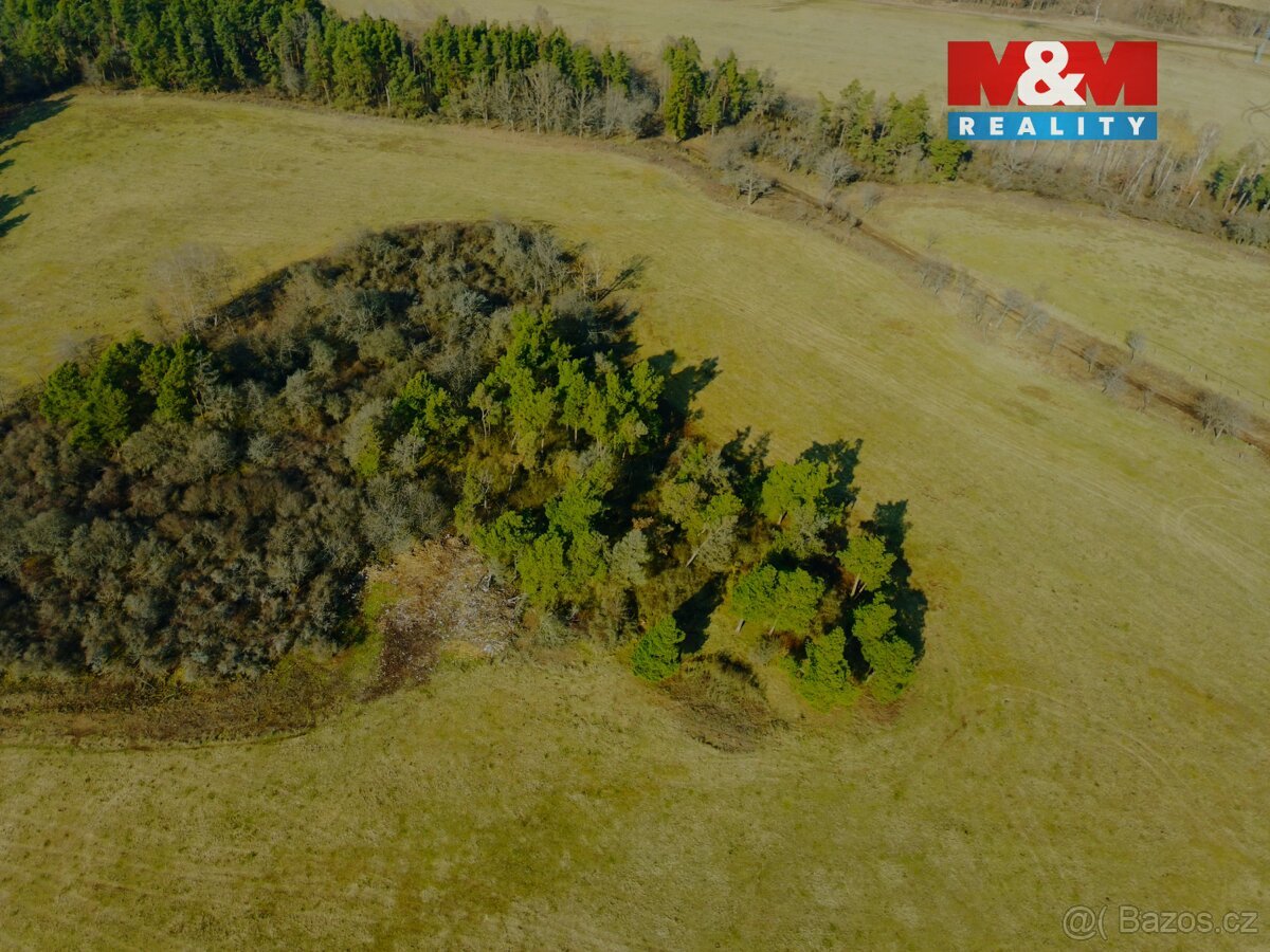 Prodej pole, 15633 m², Vrbice u Stříbra