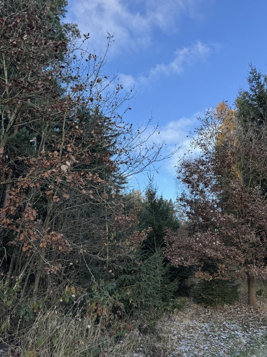 Prodej pozemků k.ú. Svrčovec