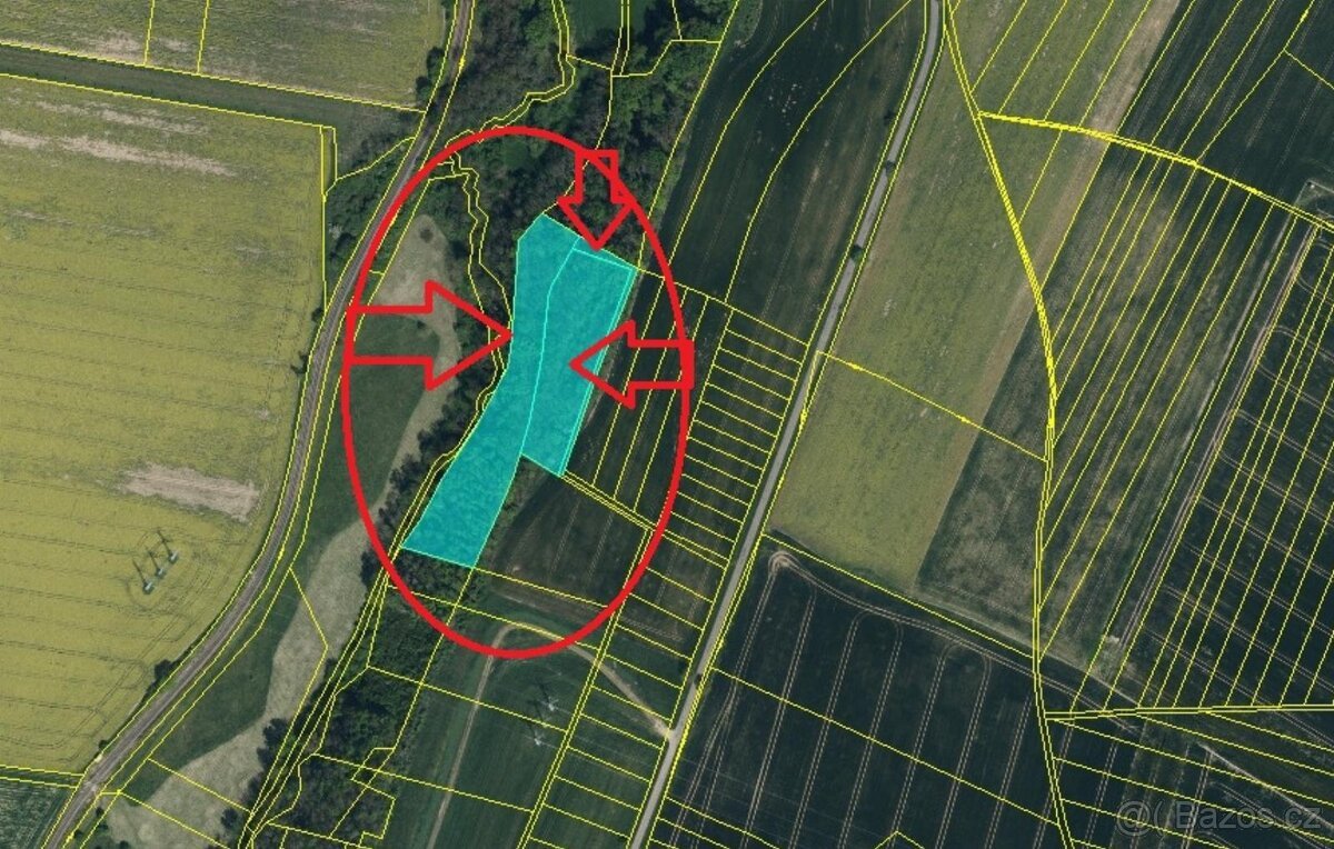 Prodej pozemků v k.ú. Jeníkovice u Choltic