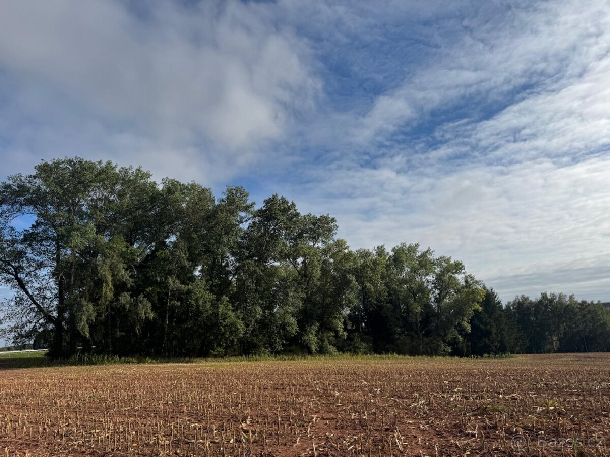 Prodej lesního pozemku k.ú. Vrchovina