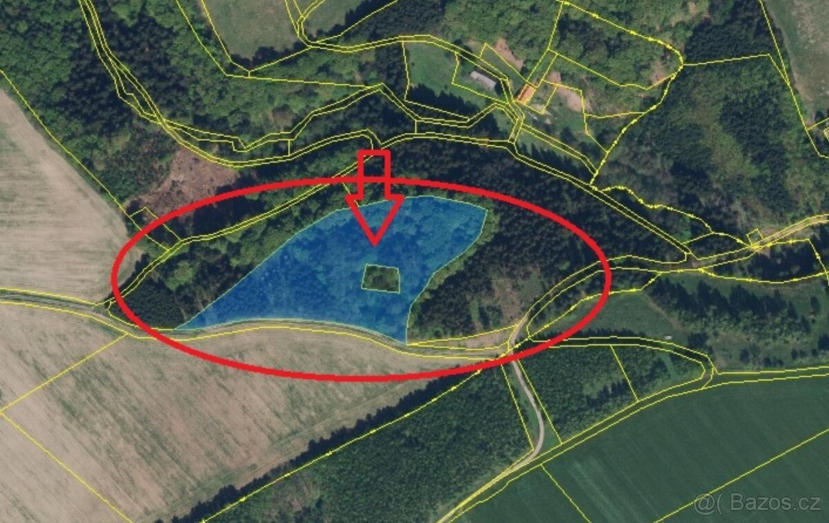 Prodej lesního pozemku v k.ú. Liberk