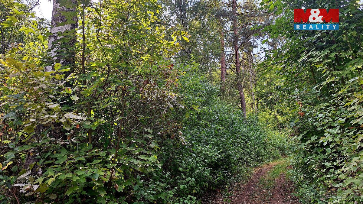 Prodej pozemku + 2 plochy k zástavbě, 10875 m², Úštěk